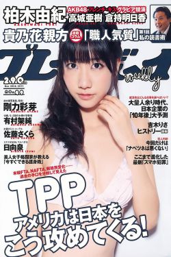 敌特在行动