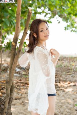 灿烂的遗产