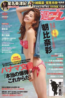 灰烬领主