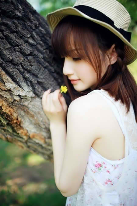 性鸥美